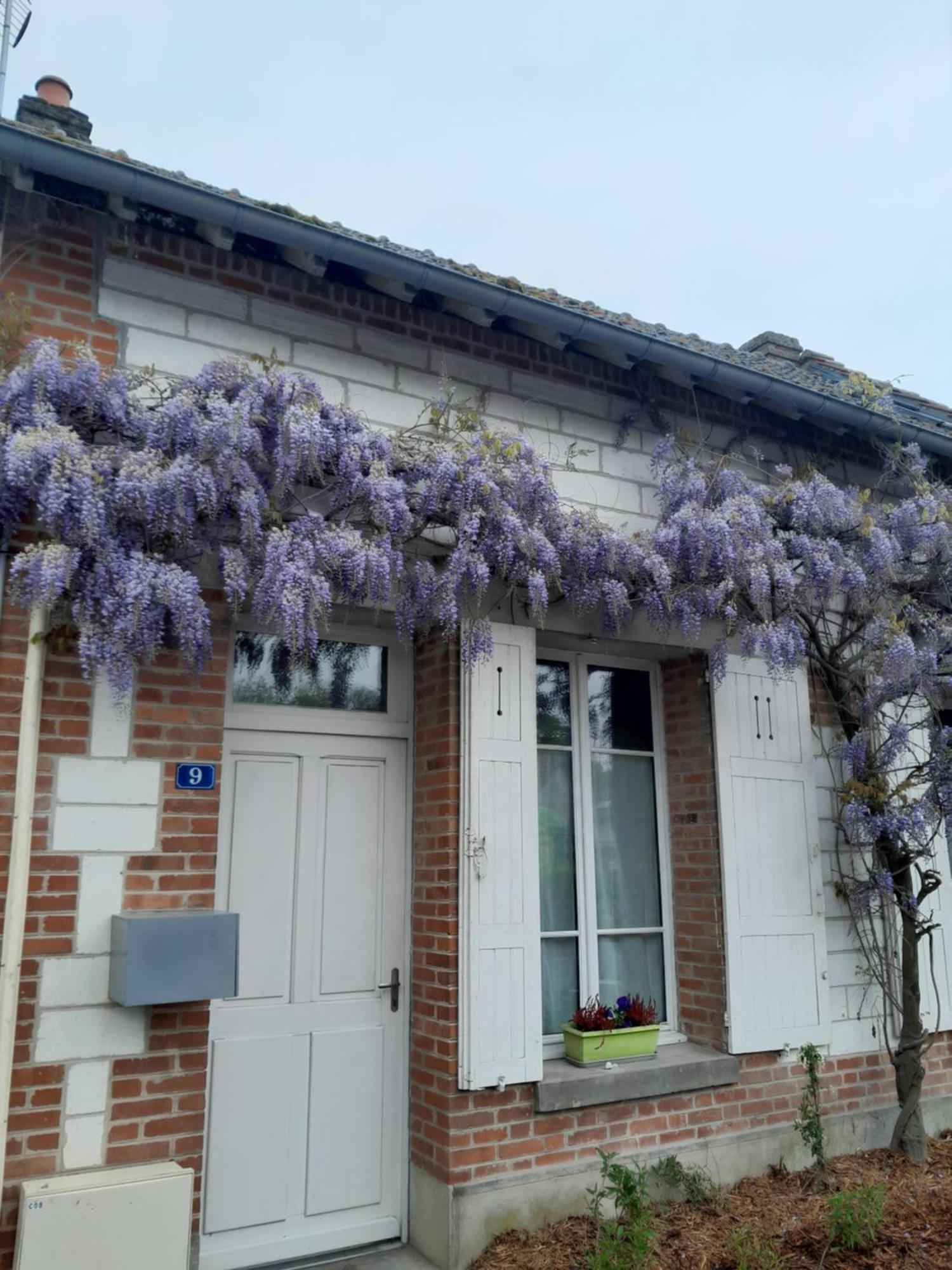Gite, Maison A La Campagne Ardennes, Aisne,Marne Le Thour Kamer foto